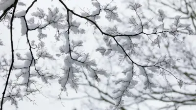 Diyarbakır 24 Mayıs 2026 Pazar: Anlık 15°C, Gün Boyu 11-21°C