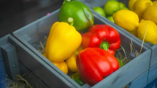 Kıymalı Yufka Böreği