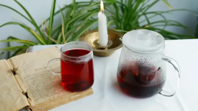 Kızılcık Şerbeti ile Nane Aromalı Ayran