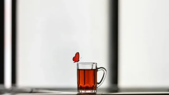 Ev Yapımı Şerbetli Vişne Şerbeti