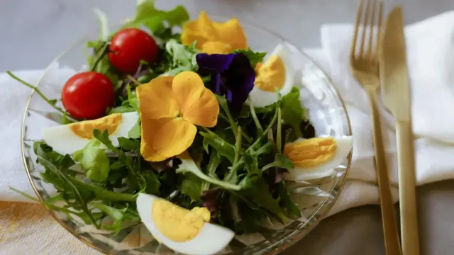 Ege Usulü Limonlu ve Zeytinyağlı Ahtapot Salatası