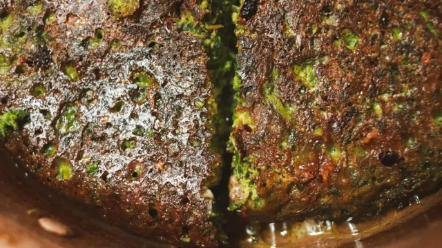 Kabak Mücveri