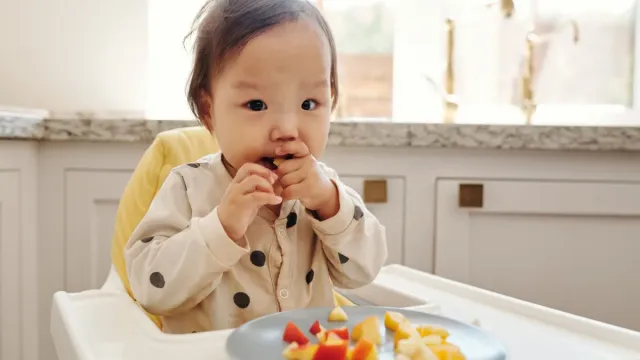 1 Yaş Bebekler İçin Sebzeli Omlet