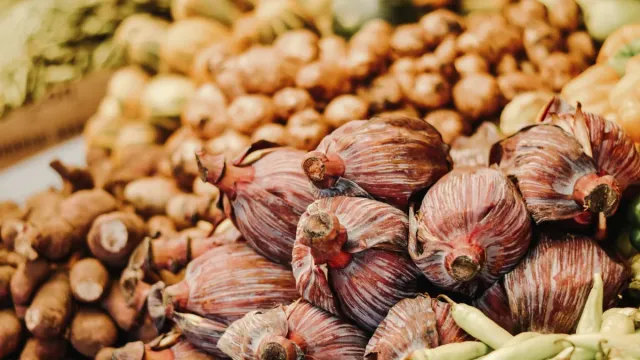 Zeytinyağlı Enginar Dolması Limonlu Nane Aroması