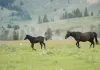 Rüyada Sönmüş Ateş Görmek