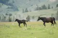 Rüyada Diş Dökülmesi Ne Demek? (İslami ve Psikolojik Anlamı)