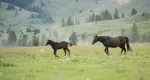 Rüyada Sönmüş Ateş Görmek