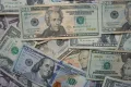 Dolar 45,47 TL'de Yatay, Euro 52,91 TL'ye Geriledi