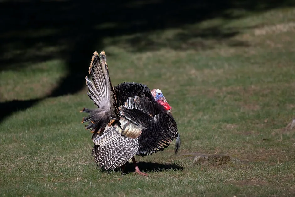 İstanbul Şişli MYO'ya 6 Profesör Alınacak - 2026 Başvuruları Başladı