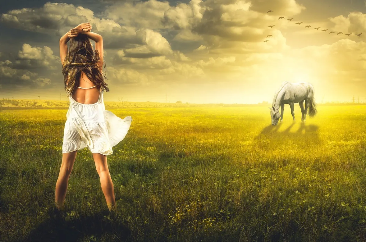 Gemi Batması 20251209-037 ruya tabiri