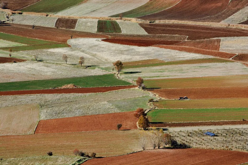 Toprak Görmek ruya tabiri