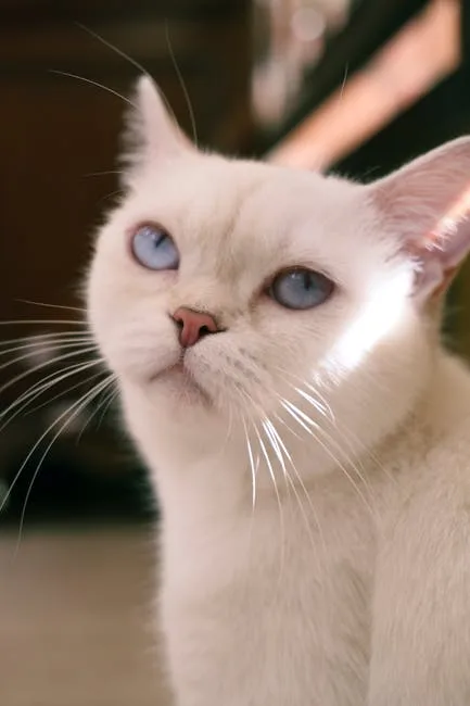 Rüyada Kedi Görmek — Sezgi ve Bağımsızlık