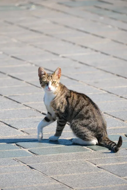 Beyaz Renk Görmek ruya tabiri