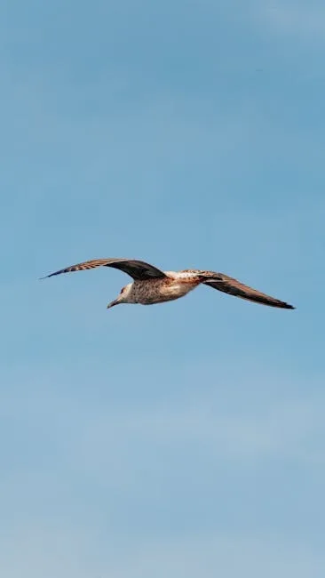 Uçmak 20251209-004 ruya tabiri