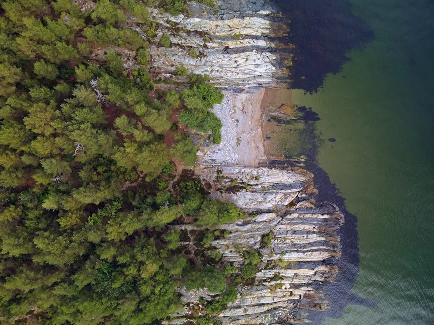 Asker Görmek ruya tabiri