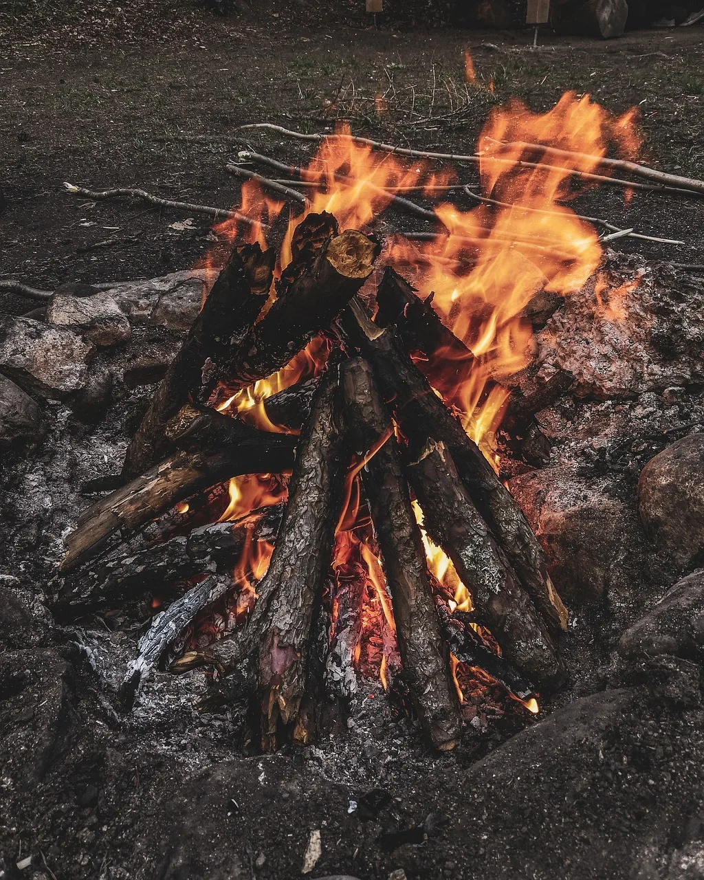 Para Bulmak 2025-1 ruya tabiri