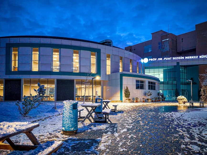 Kar Görmek ruya tabiri